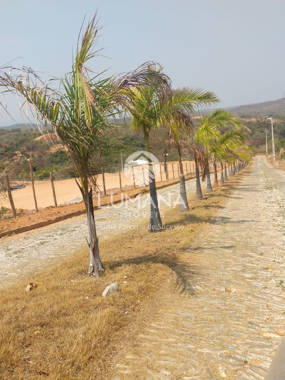 Fazendinhas  20.000 m² SERRAS DE MINAS — foto 11 — Condomínio  Serra De Minas, Almeida (jaboticatubas), MG
