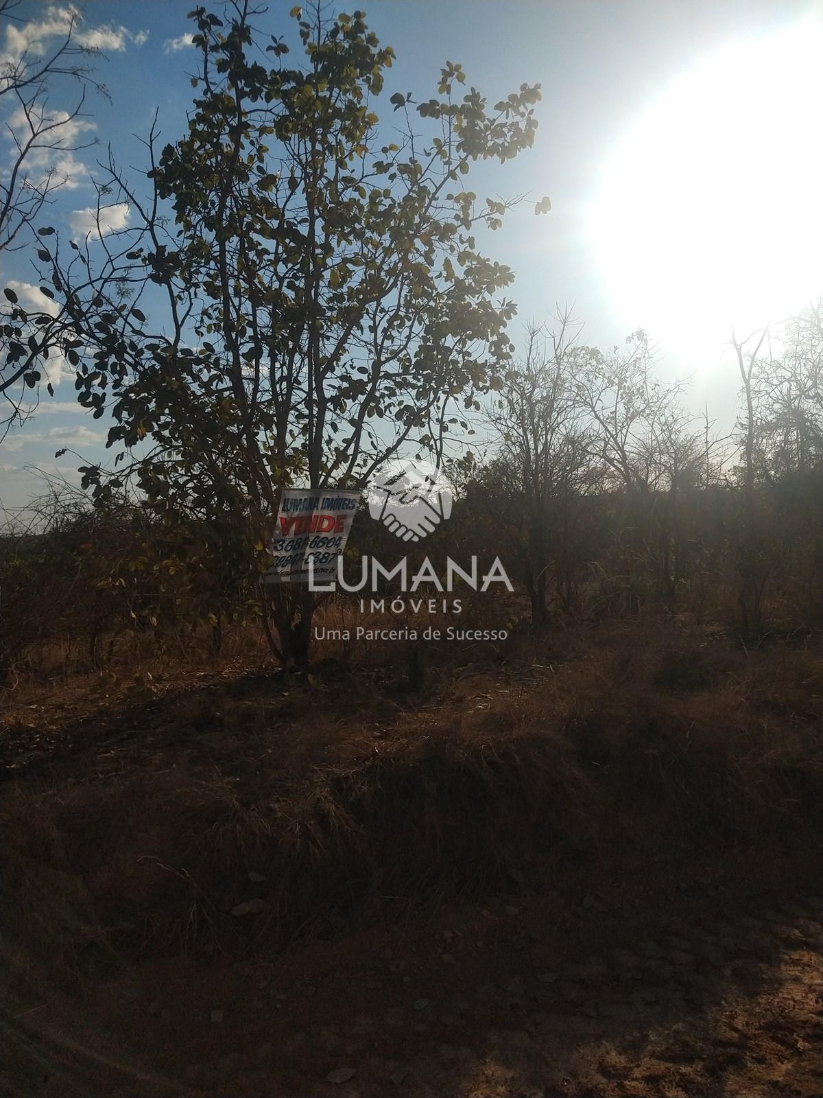 LOTE EM CONDOMÍNIO — foto 7 — Vila São José, Felixlândia, MG