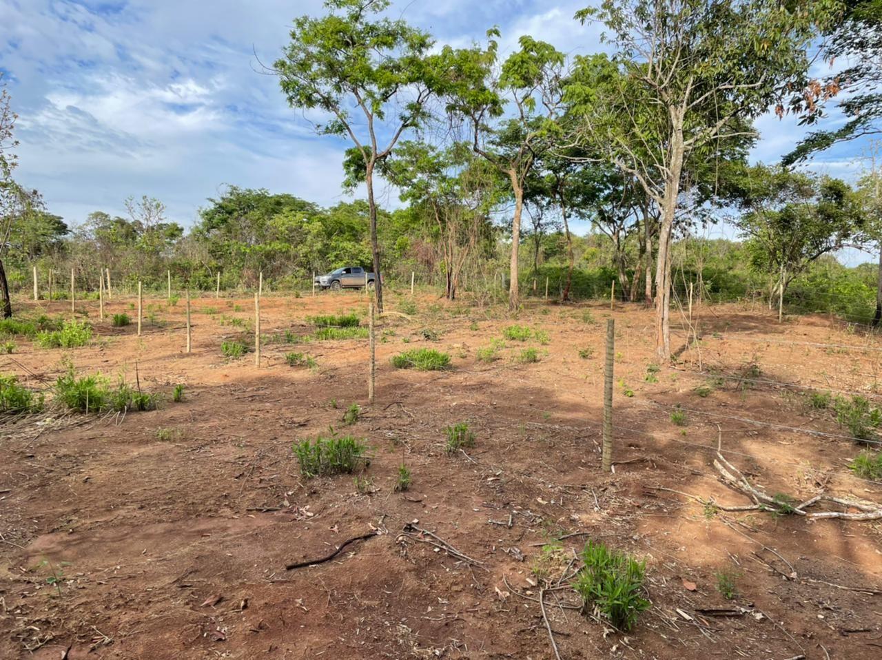 Lotes Nova Suiça, Divinópolis- MG