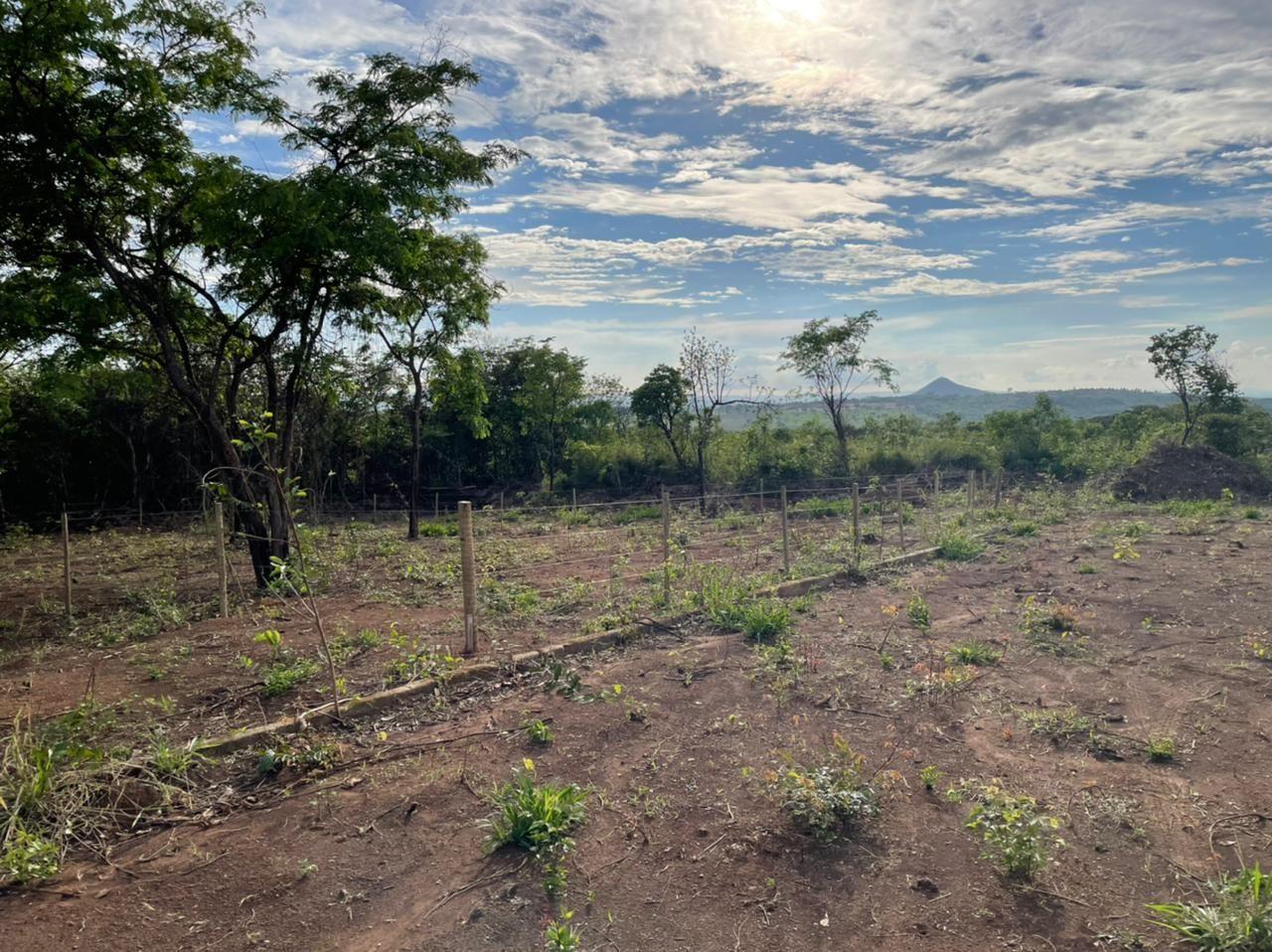 Lotes Nova Suiça, Divinópolis- MG