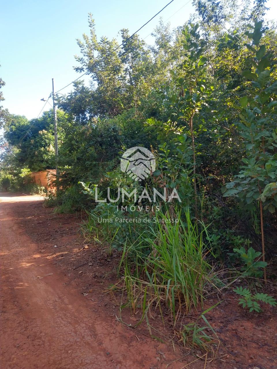 LOTE EM FELIXLÂNDIA — foto 4 — Lago Dos Cisnes, Felixlândia, MG