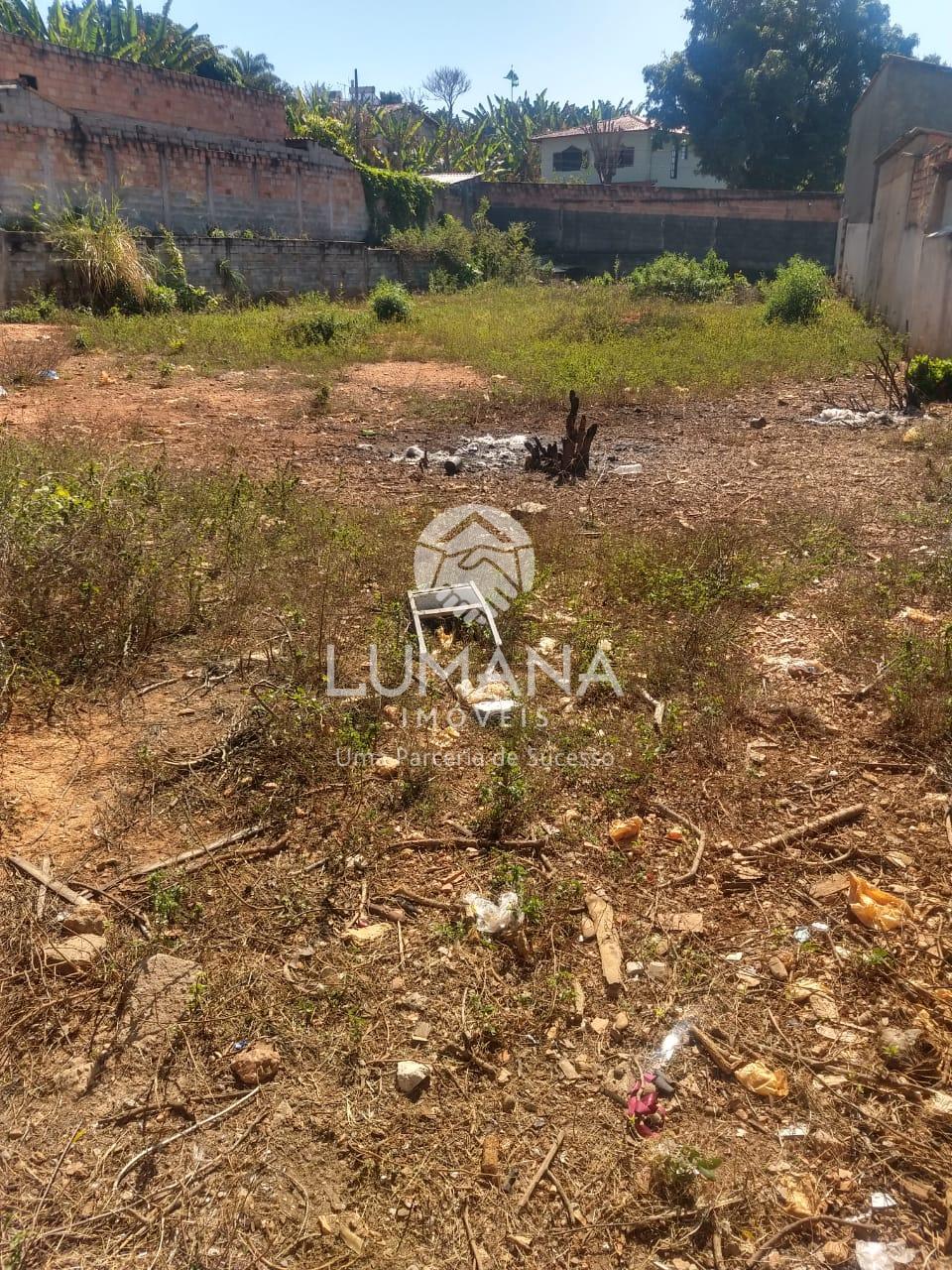 LOTE REGIÃO CENTRAL