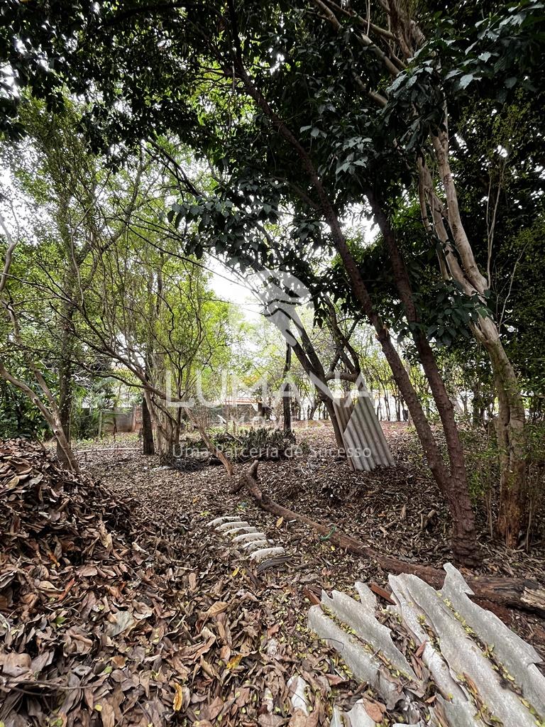 LOTE COMERCIAL — foto 8 — Coronel Ovídio Guerra, Lagoa Santa, MG