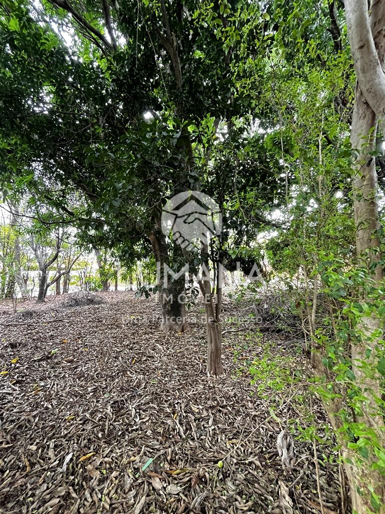 LOTE COMERCIAL — foto 9 — Coronel Ovídio Guerra, Lagoa Santa, MG