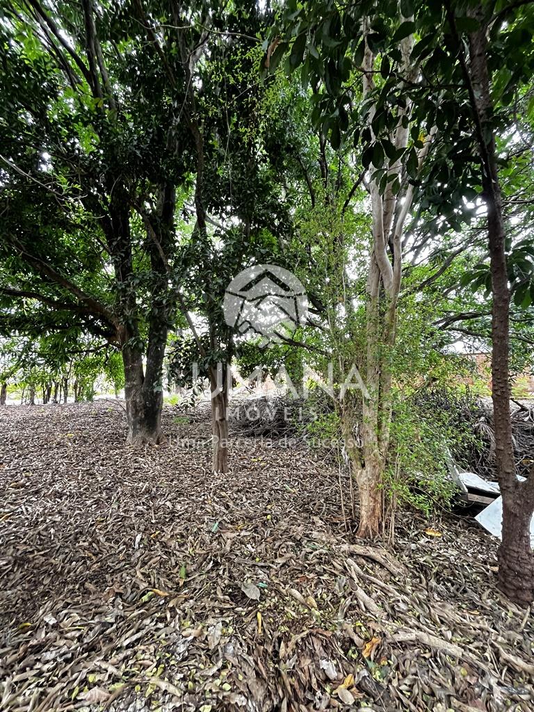 LOTE COMERCIAL — foto 10 — Coronel Ovídio Guerra, Lagoa Santa, MG