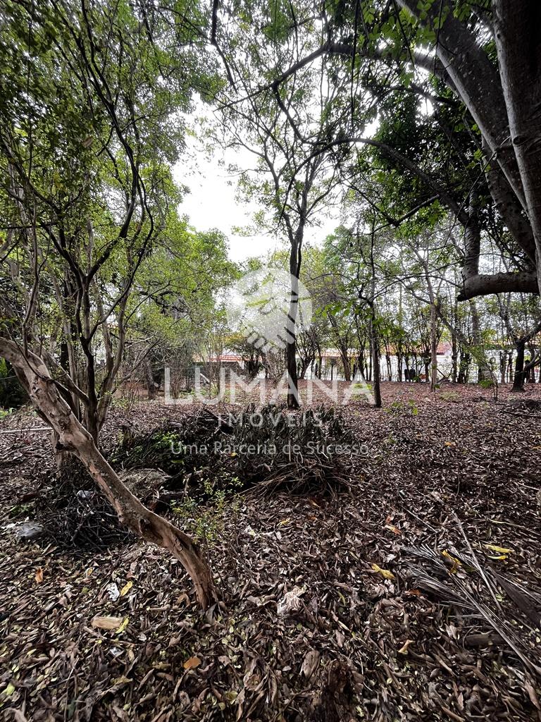 LOTE COMERCIAL — foto 11 — Coronel Ovídio Guerra, Lagoa Santa, MG