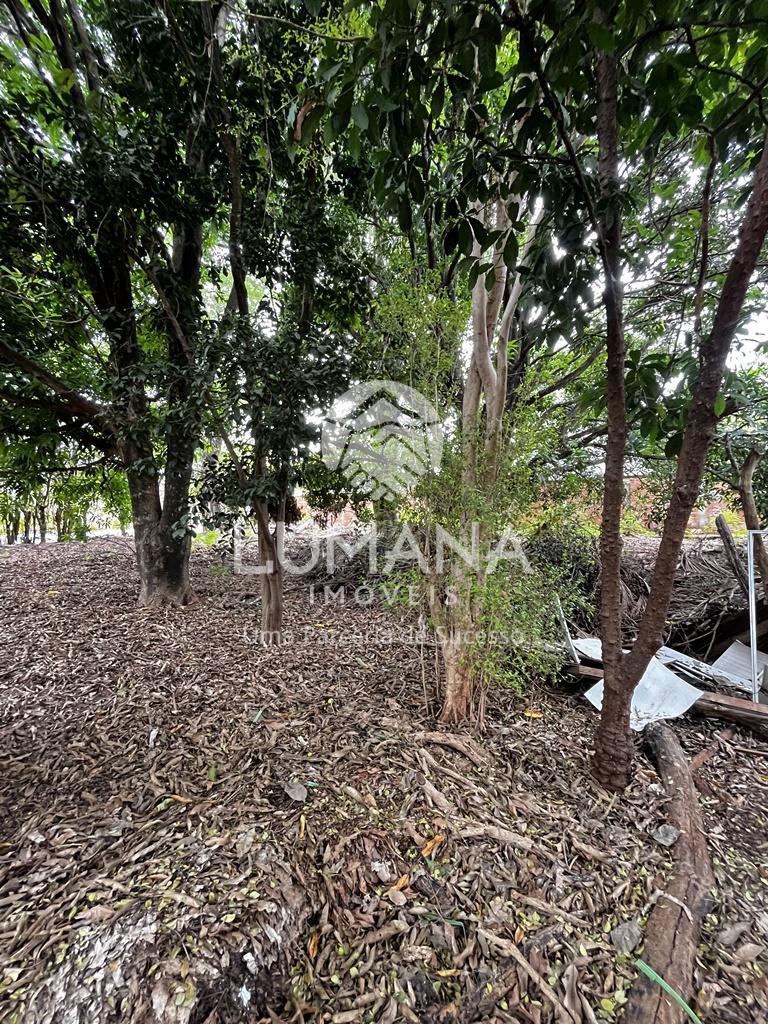 LOTE COMERCIAL — foto 13 — Coronel Ovídio Guerra, Lagoa Santa, MG