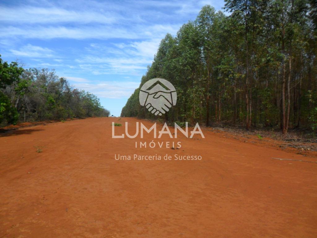 LOTE EM CONDOMÍNIO — foto 12 — Lago Dos Cisnes, Felixlândia, MG