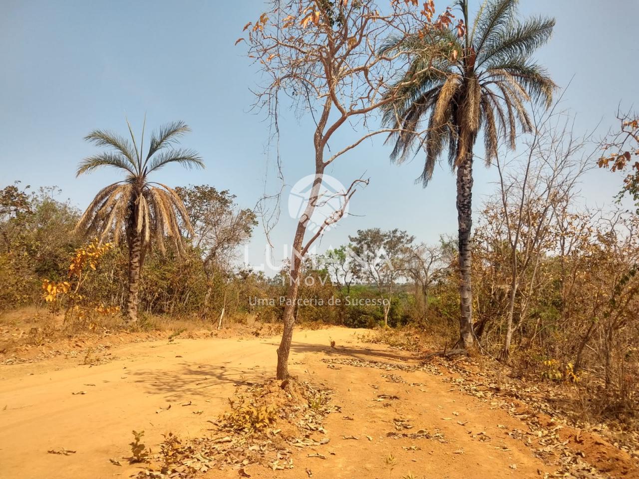 FAZENDINHA COM ÁGUA — foto 12 — Recanto Do Inhapim 2, Baldim, MG