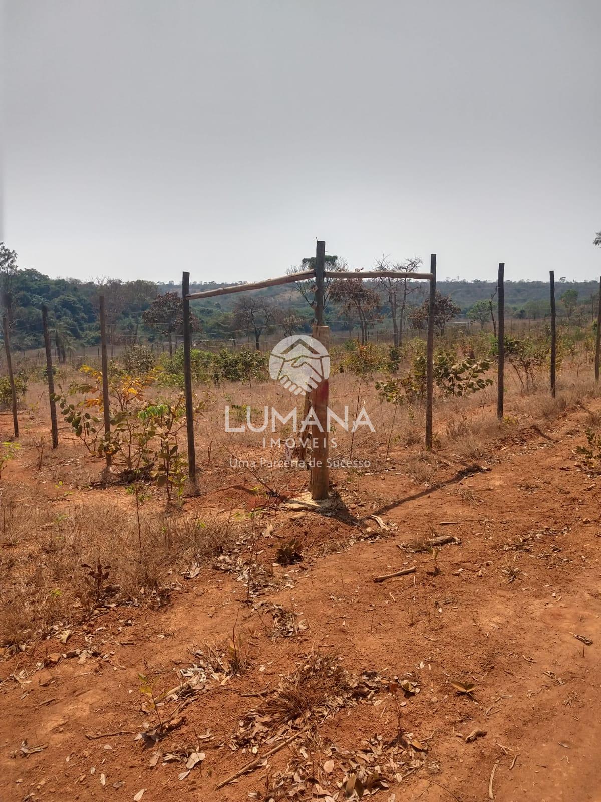 FAZENDINHA COM ÁGUA — foto 14 — Recanto Do Inhapim 2, Baldim, MG