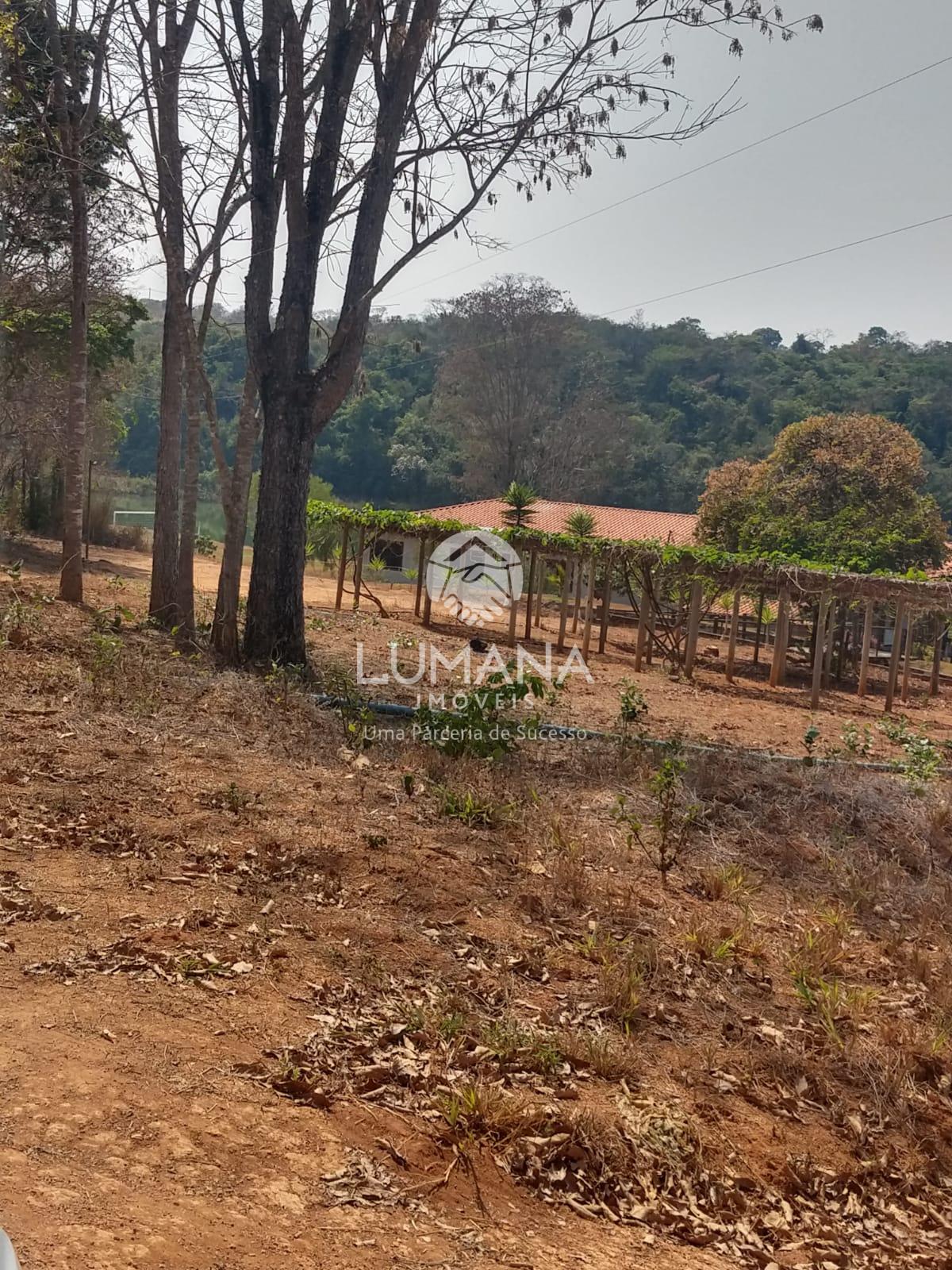 FAZENDINHA COM ÁGUA