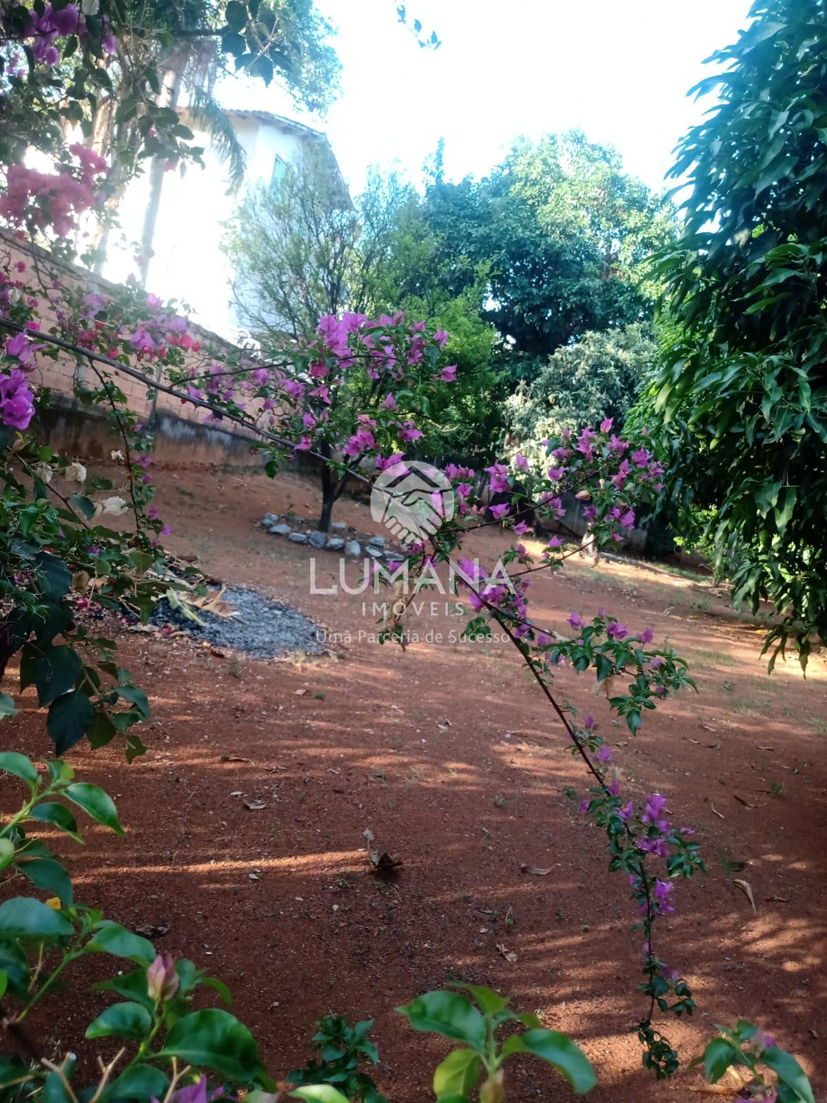 Área Central -  1900 m²