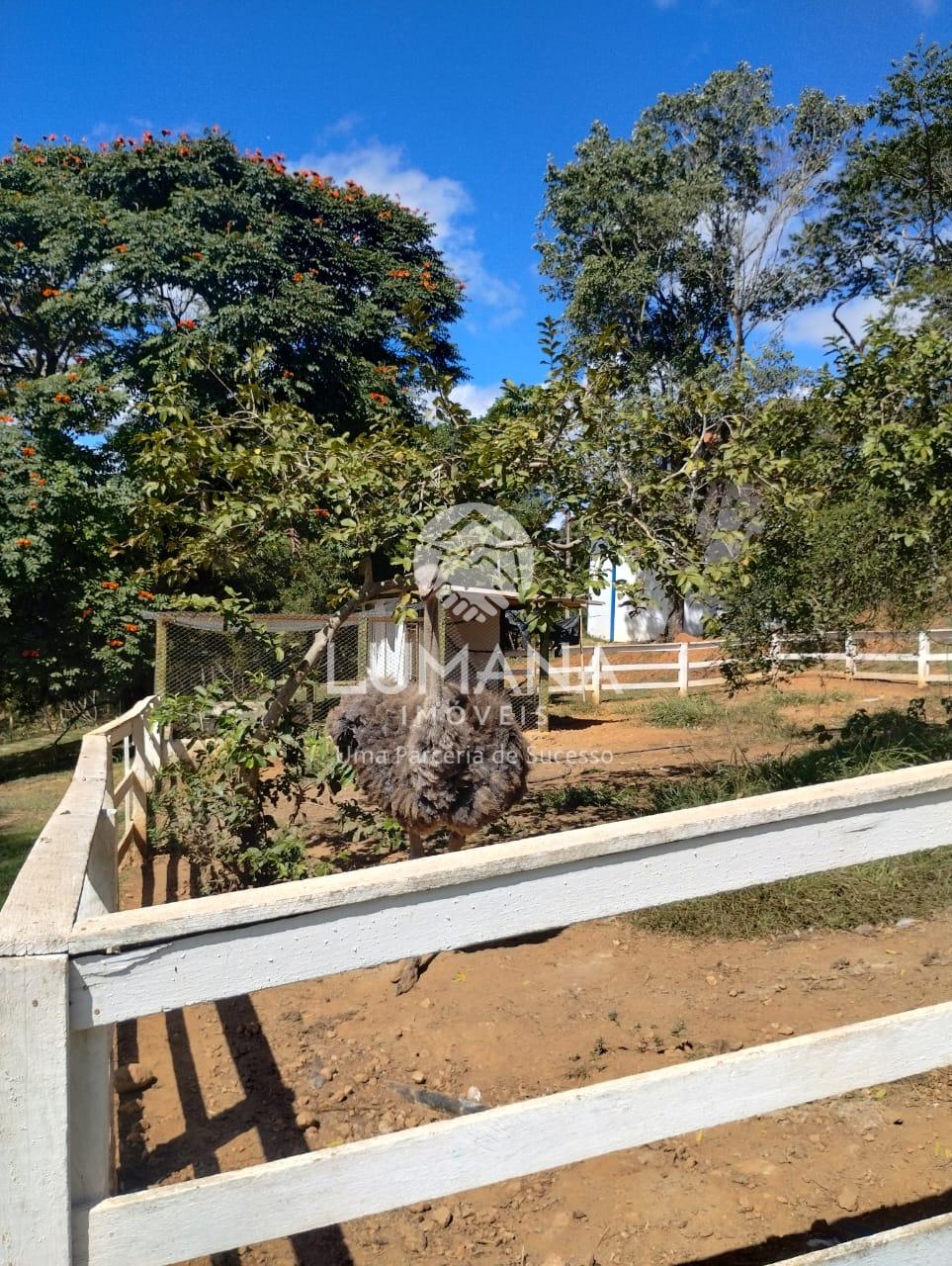 TERRAS VERDES — foto 16 — Zona Rural, Lagoa Santa, MG