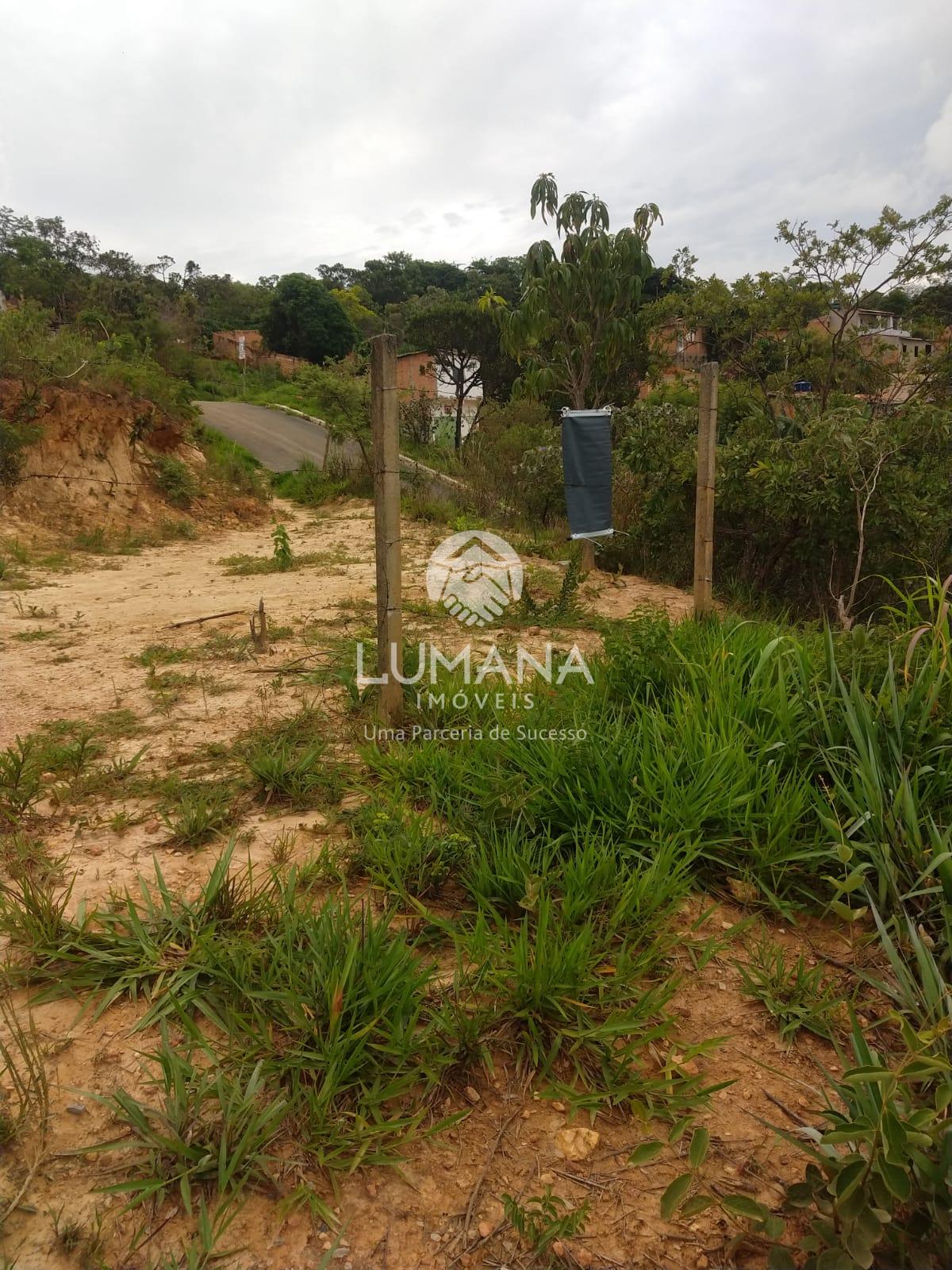 LOTE DE OPORTUNIDADE