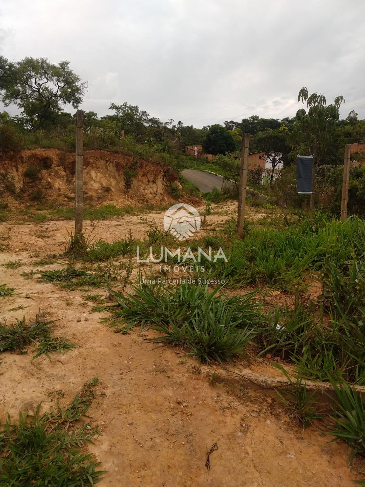 LOTE DE OPORTUNIDADE