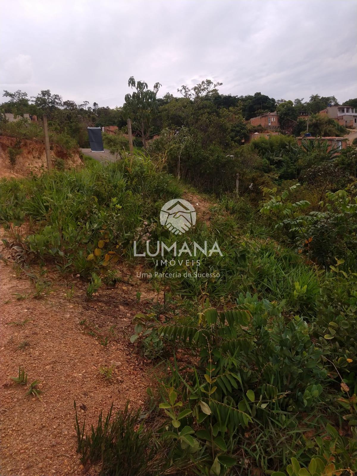 LOTE DE OPORTUNIDADE