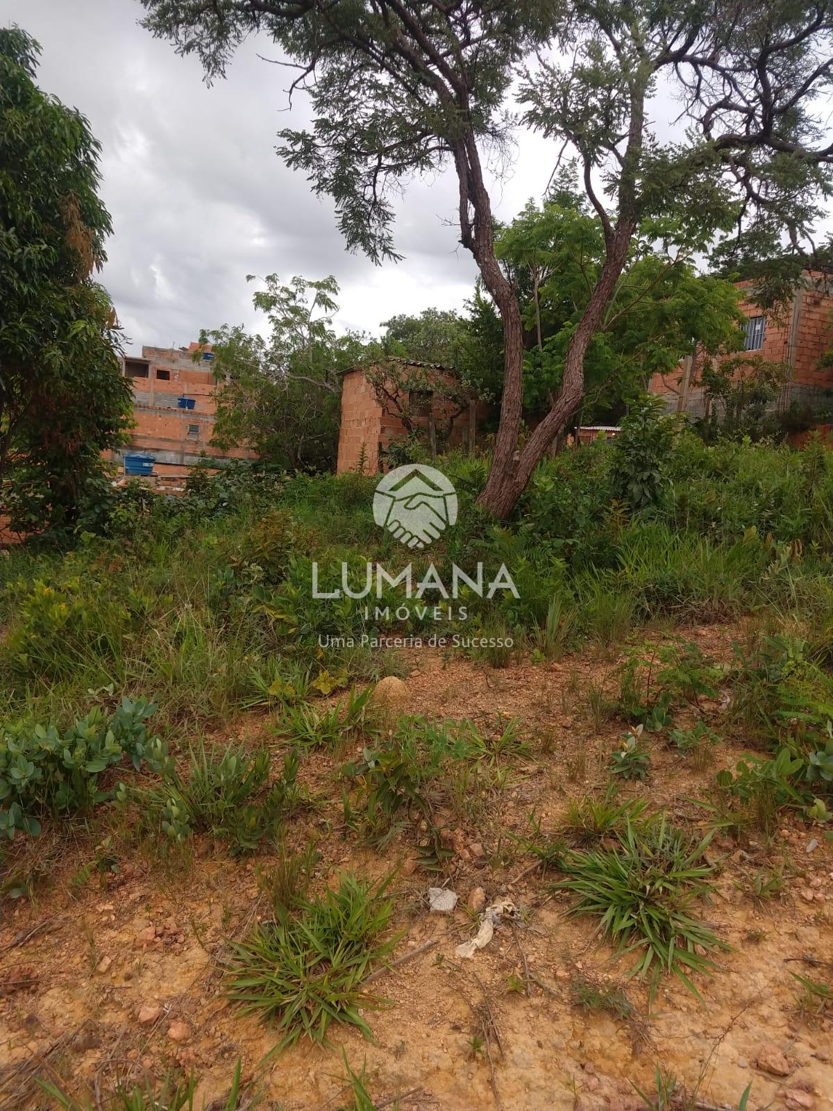 LOTE DE OPORTUNIDADE