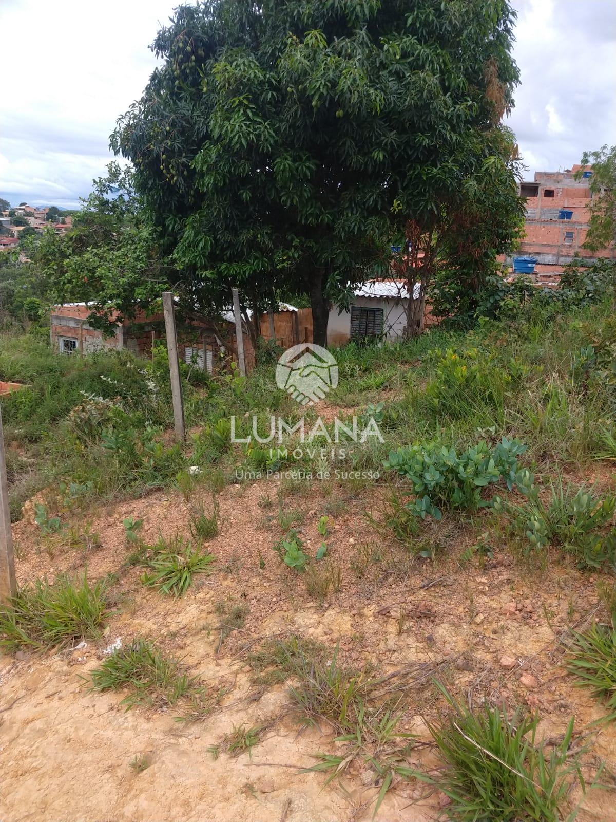 LOTE DE OPORTUNIDADE — foto 7 — Aeronautas, Lagoa Santa, MG
