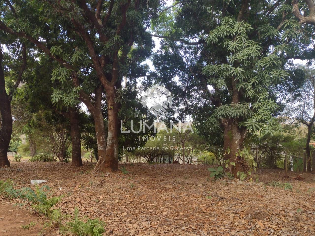 Sítio — foto 20 — Lapinha, Lagoa Santa, MG