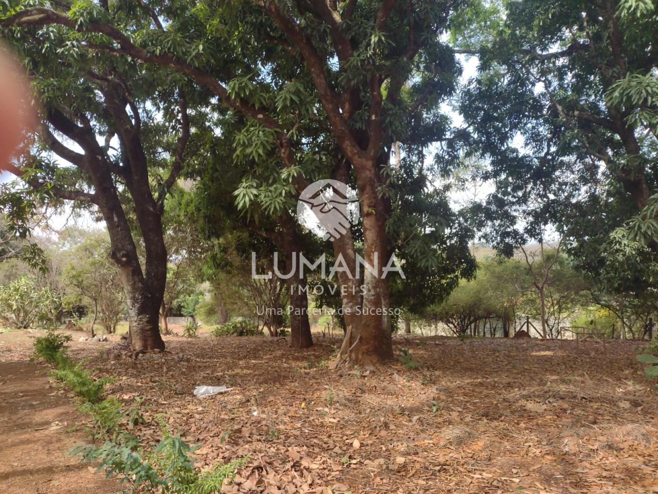 Sítio — foto 21 — Lapinha, Lagoa Santa, MG