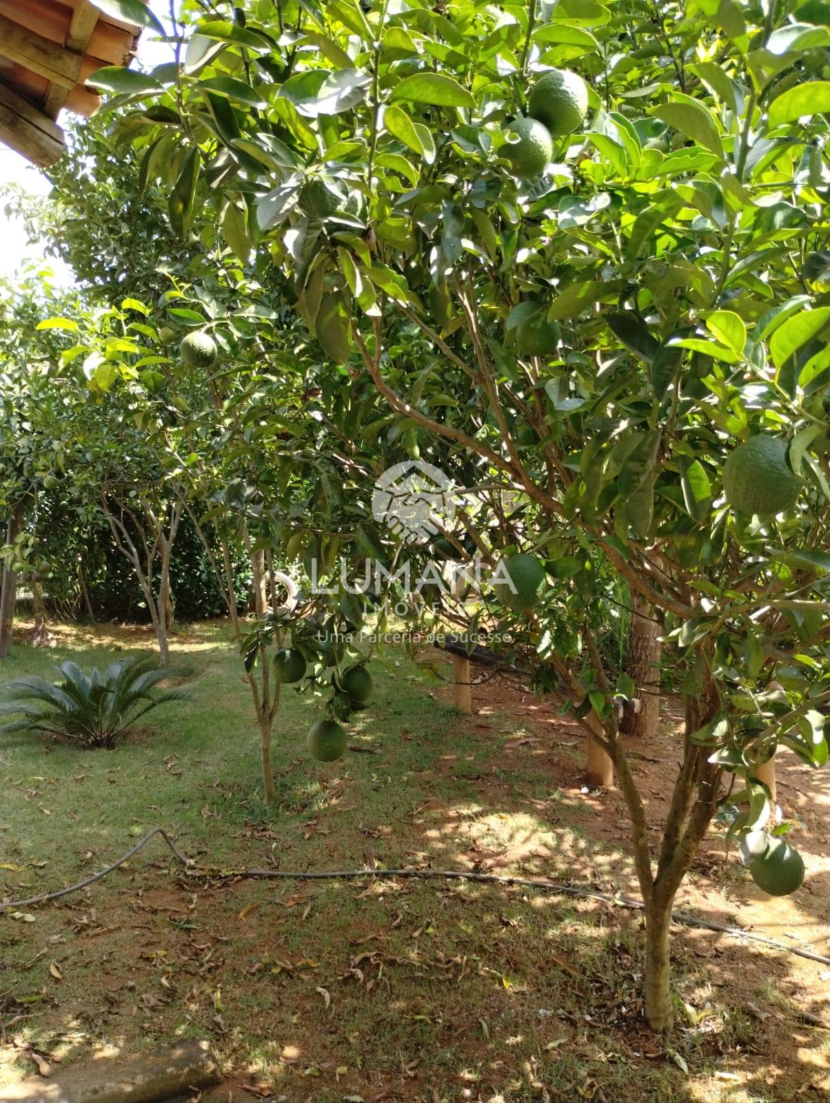 Sítio — foto 28 — Candeias, Jaboticatubas, MG