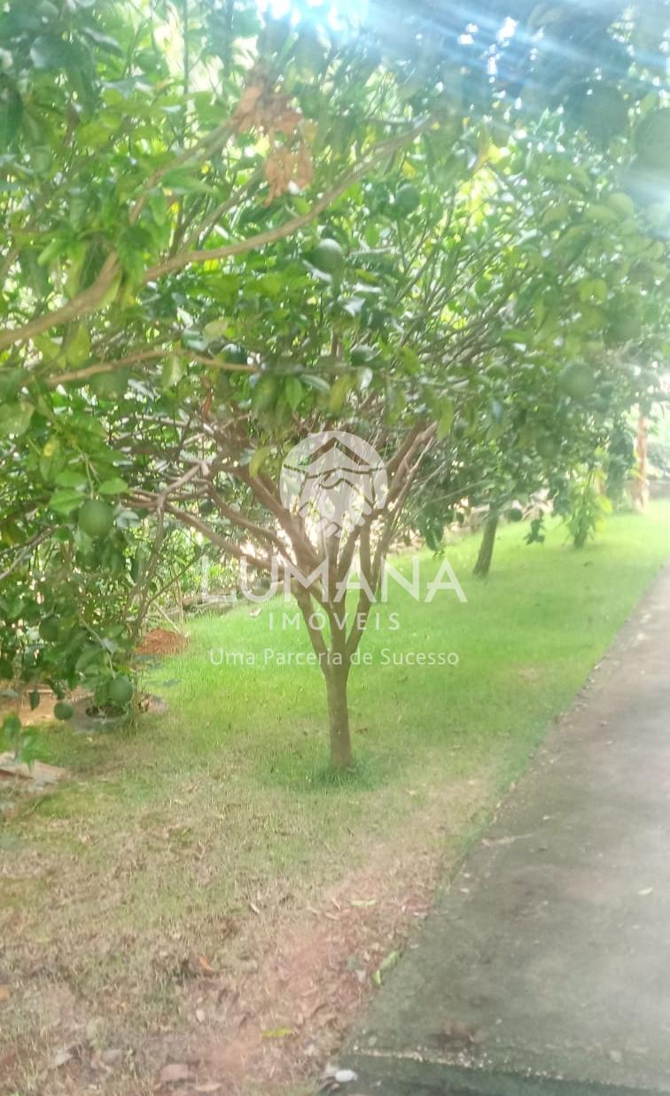 Sítio — foto 27 — Candeias, Jaboticatubas, MG