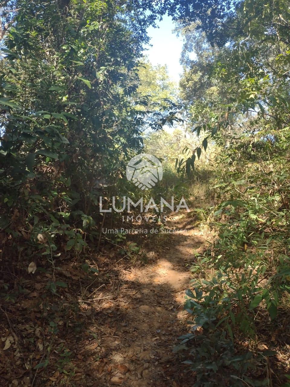 Sítio — foto 4 — Campo Alegre, Jaboticatubas, MG