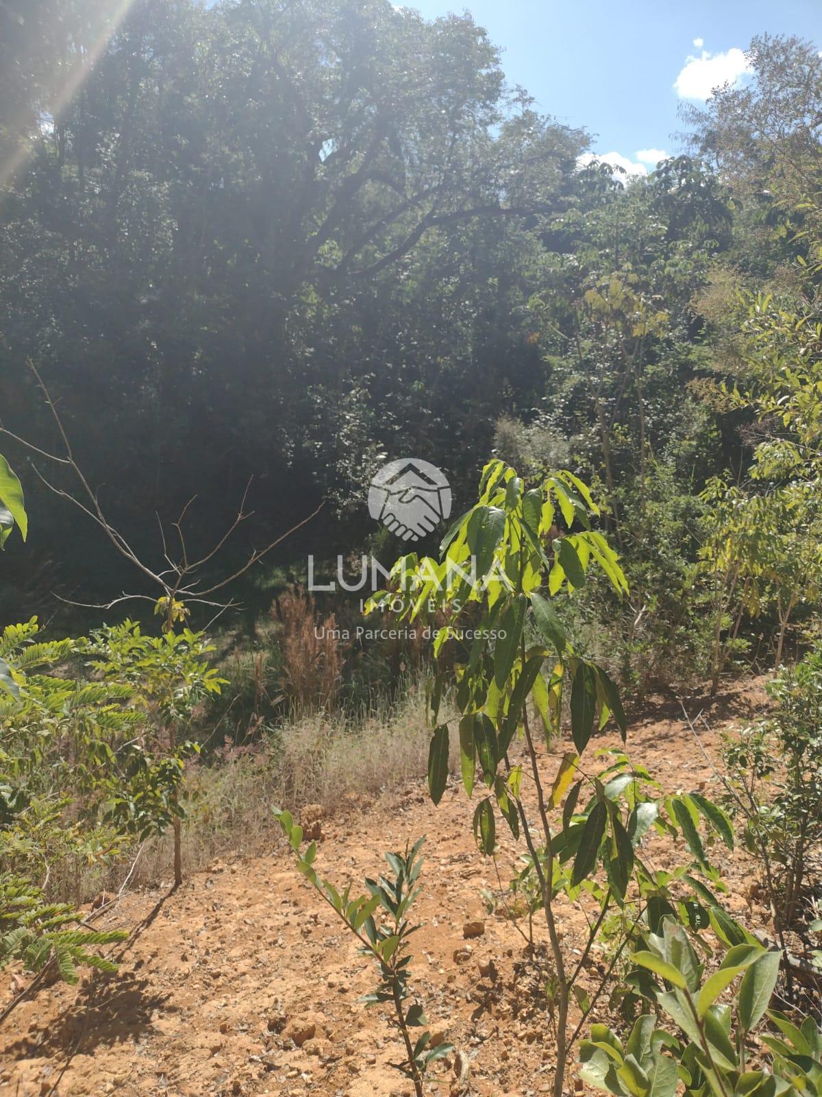 Sítio — foto 7 — Campo Alegre, Jaboticatubas, MG