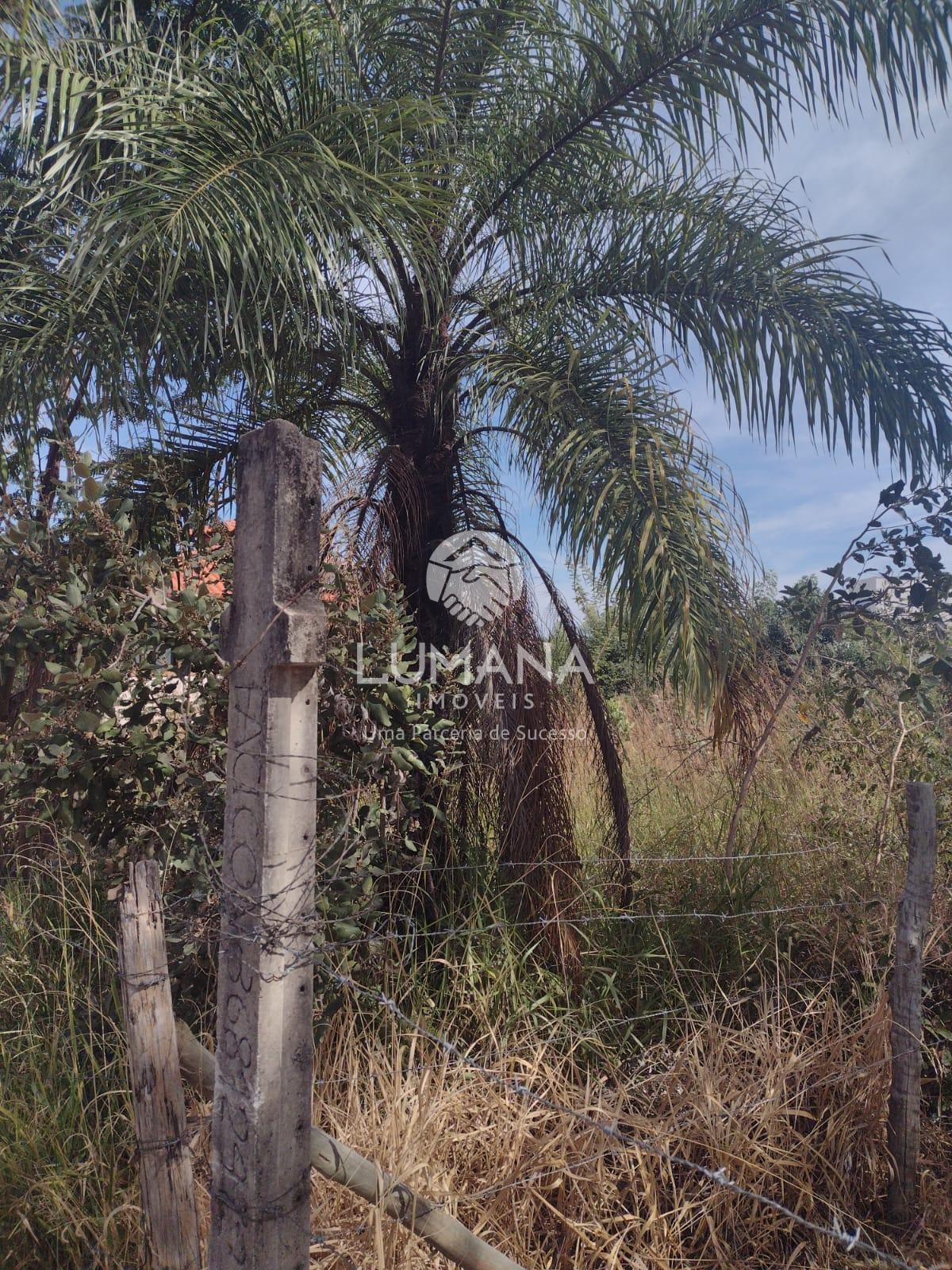 LOTE JARDIM IMPERIAL