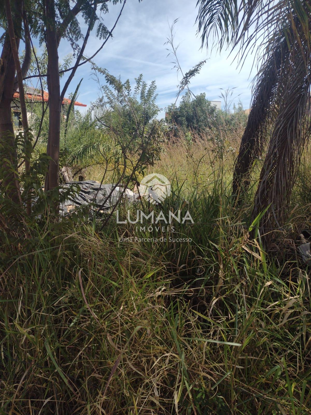 LOTE JARDIM IMPERIAL