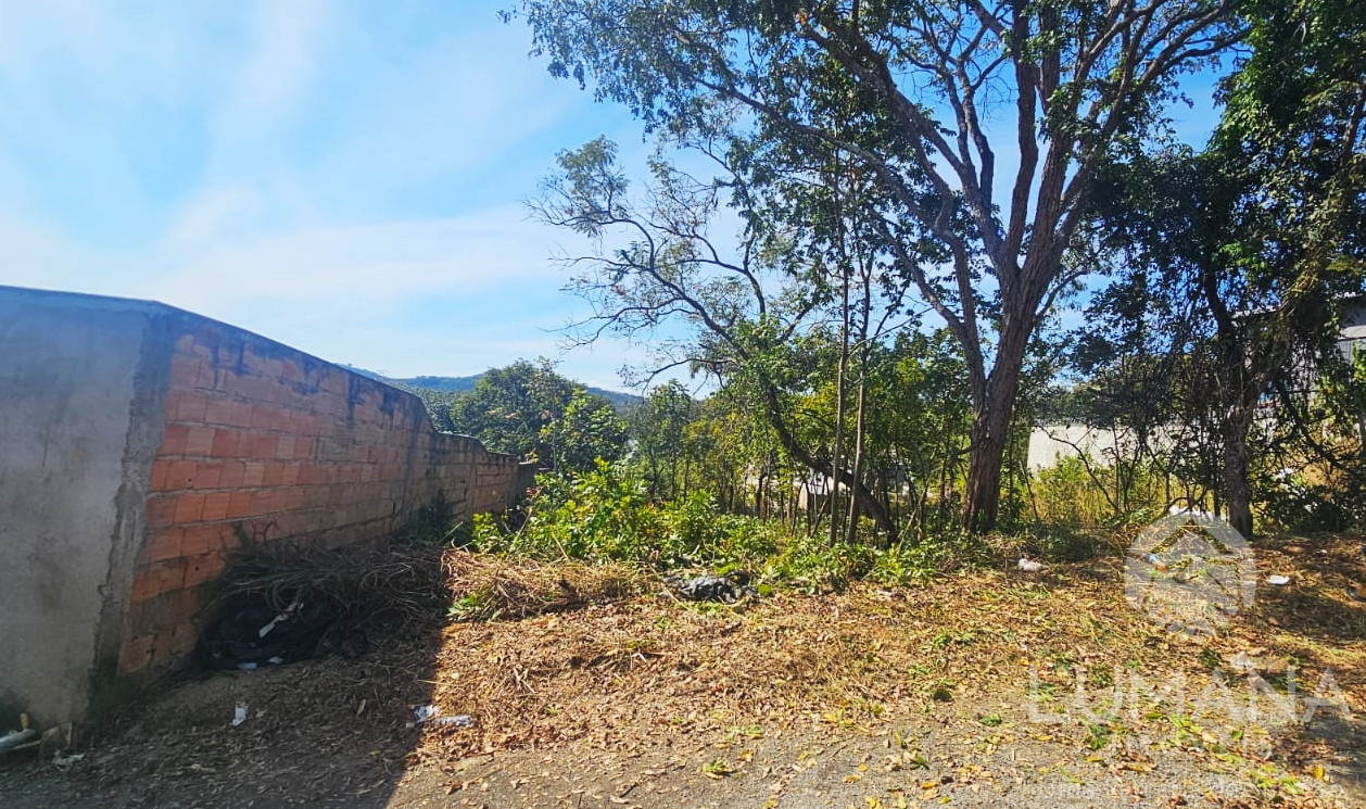 Lote