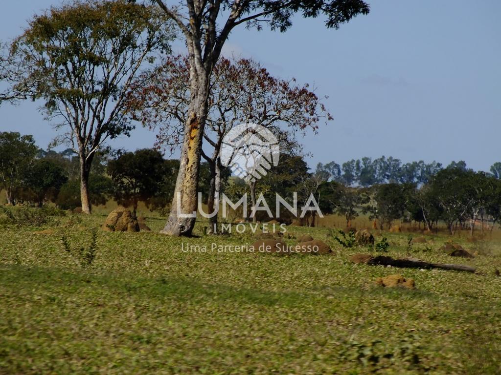 LOTE FURNAS - VITÓRIA NÁUTICO — foto 4 — Condomínio Vitória Náutico, Furnas, MG