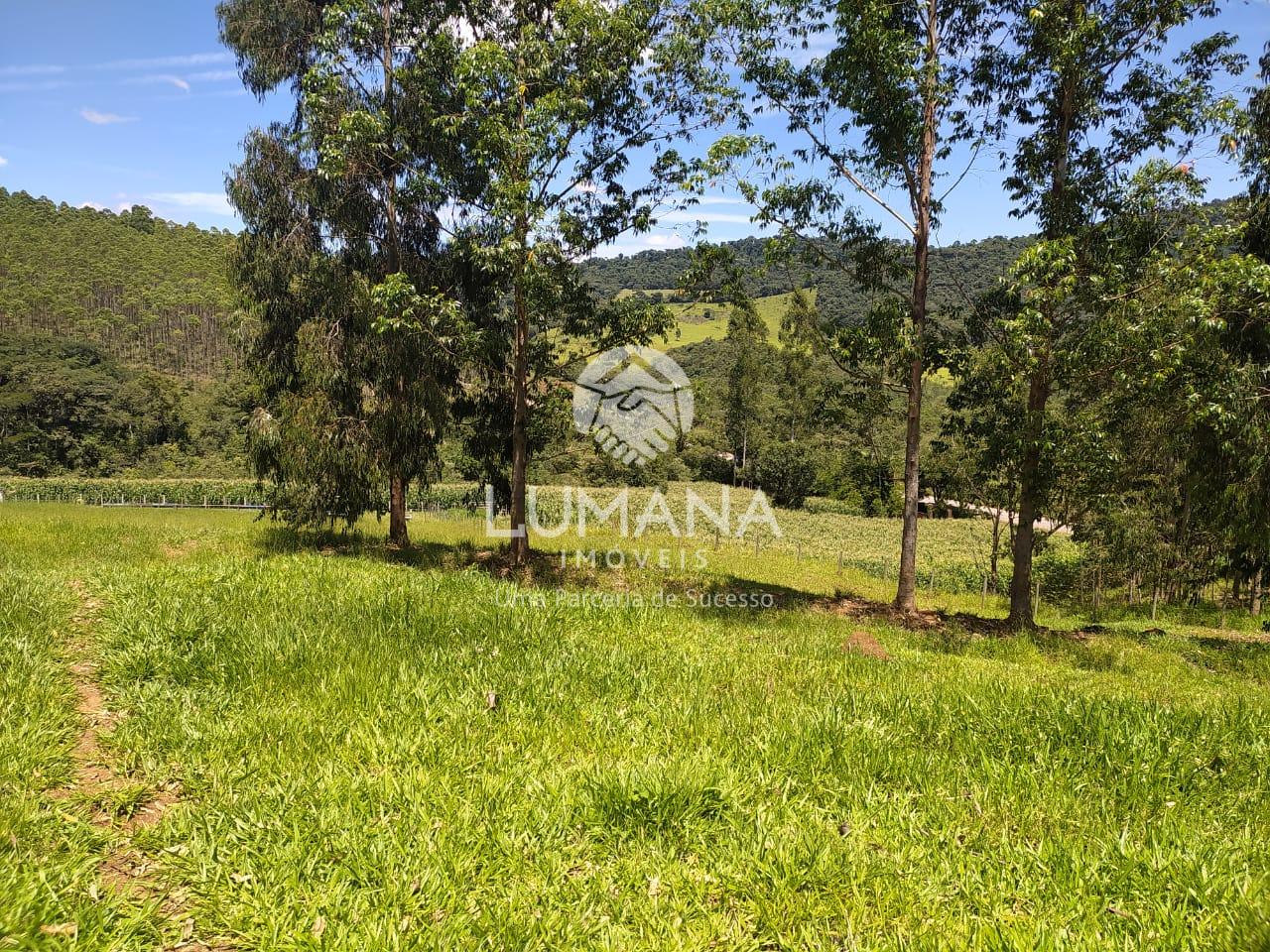 FAZENDA  ENTRE RIOS DE MINAS — foto 2 — Retiro Velho, Entre Rios De Minas, MG
