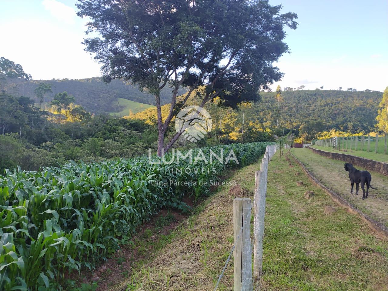 FAZENDA  ENTRE RIOS DE MINAS — foto 13 — Retiro Velho, Entre Rios De Minas, MG