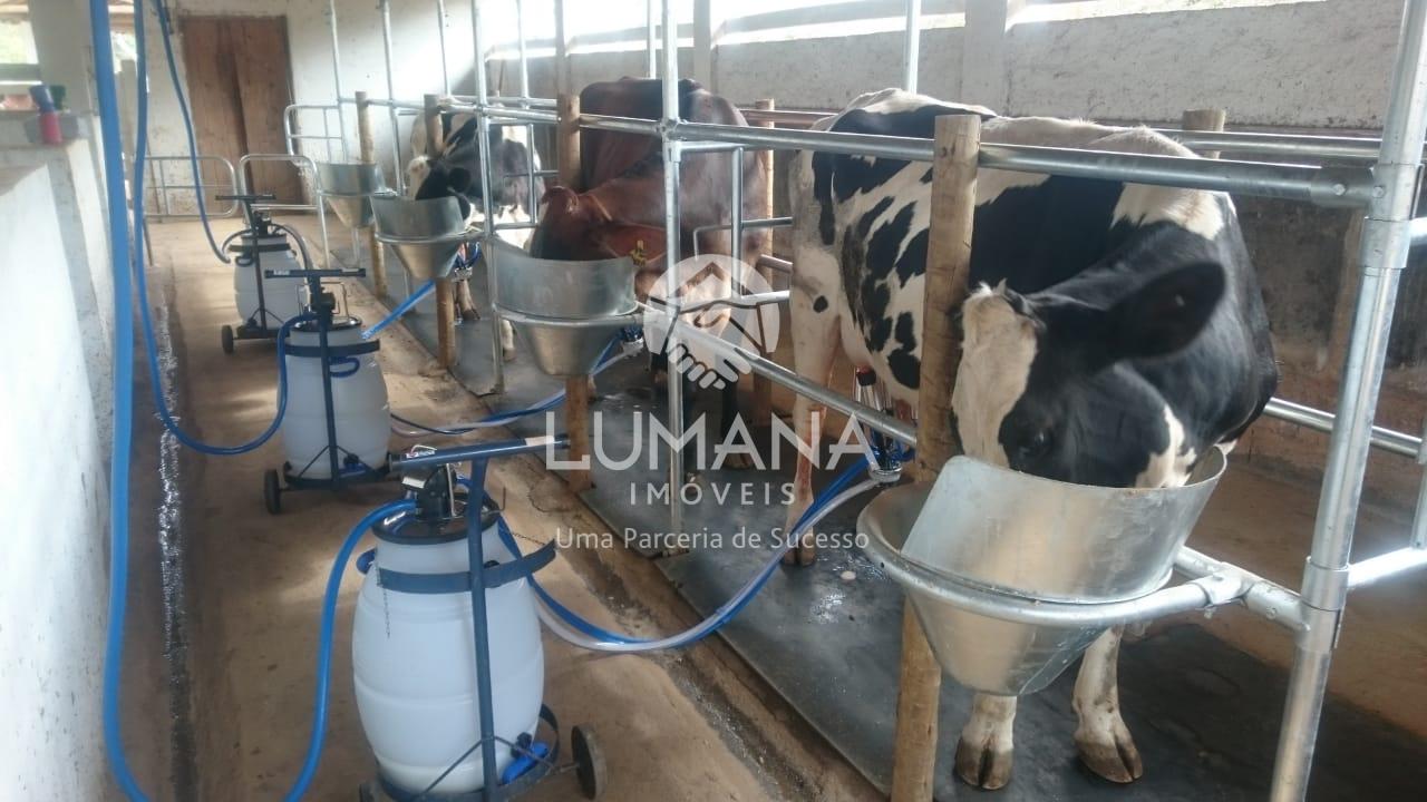 FAZENDA  ENTRE RIOS DE MINAS — foto 43 — Retiro Velho, Entre Rios De Minas, MG