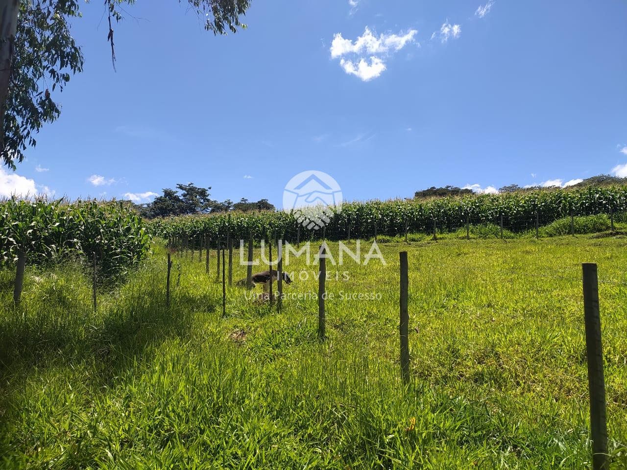FAZENDA  ENTRE RIOS DE MINAS — foto 3 — Retiro Velho, Entre Rios De Minas, MG