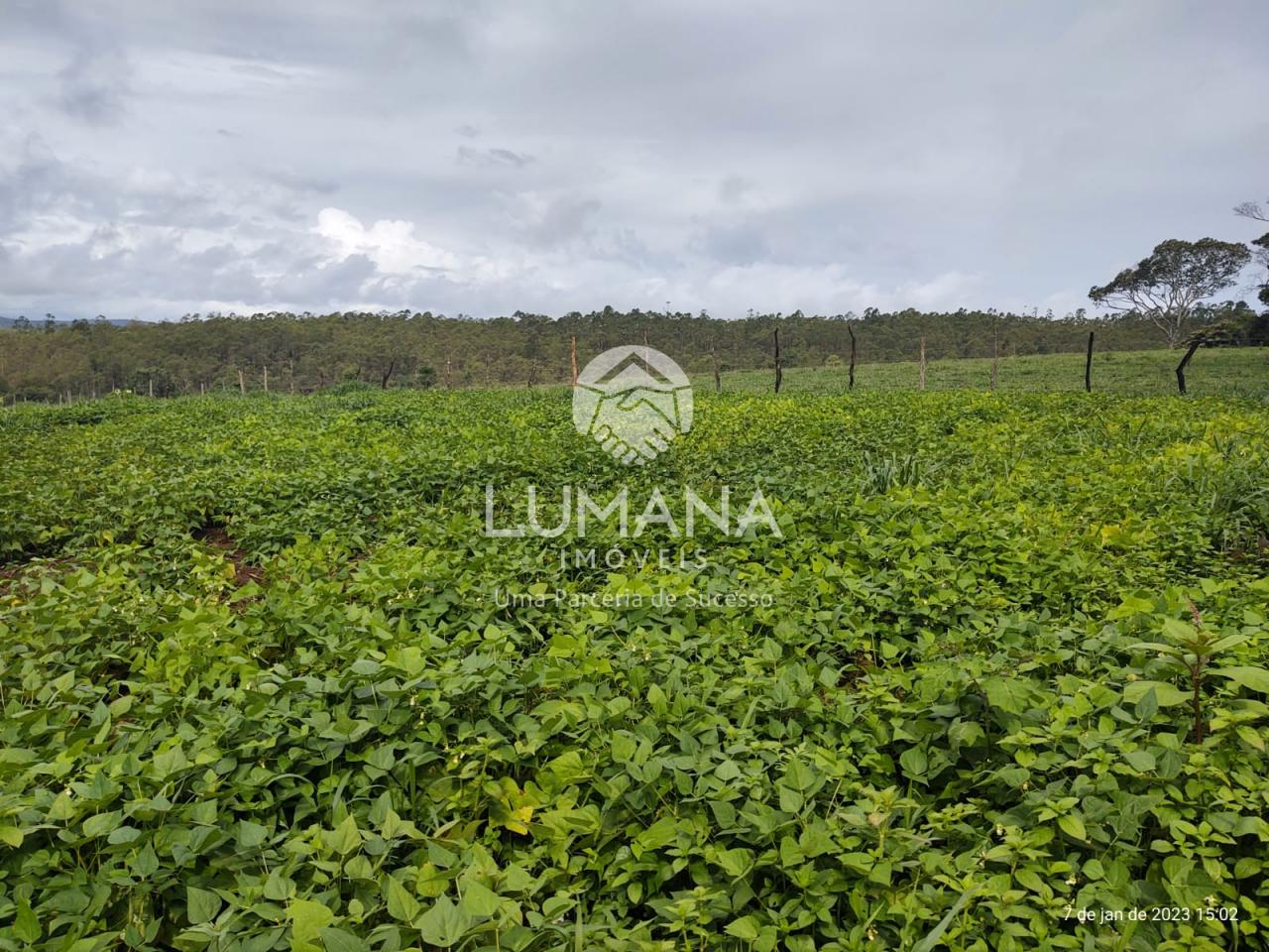 Fazenda Itaguara — foto 38 — Recanto Da  Onça, Itaguara, MG