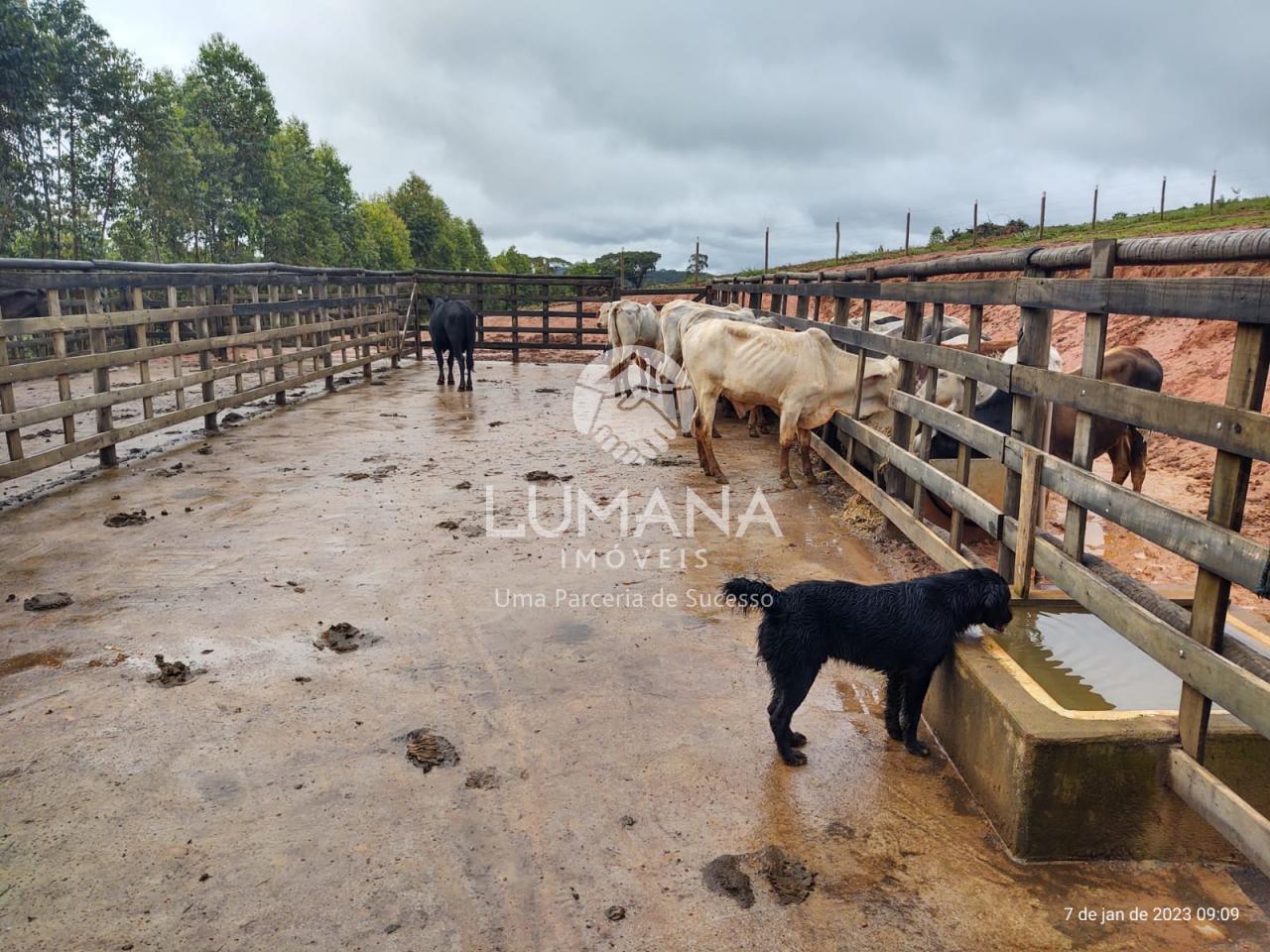 Fazenda Itaguara — foto 40 — Recanto Da  Onça, Itaguara, MG