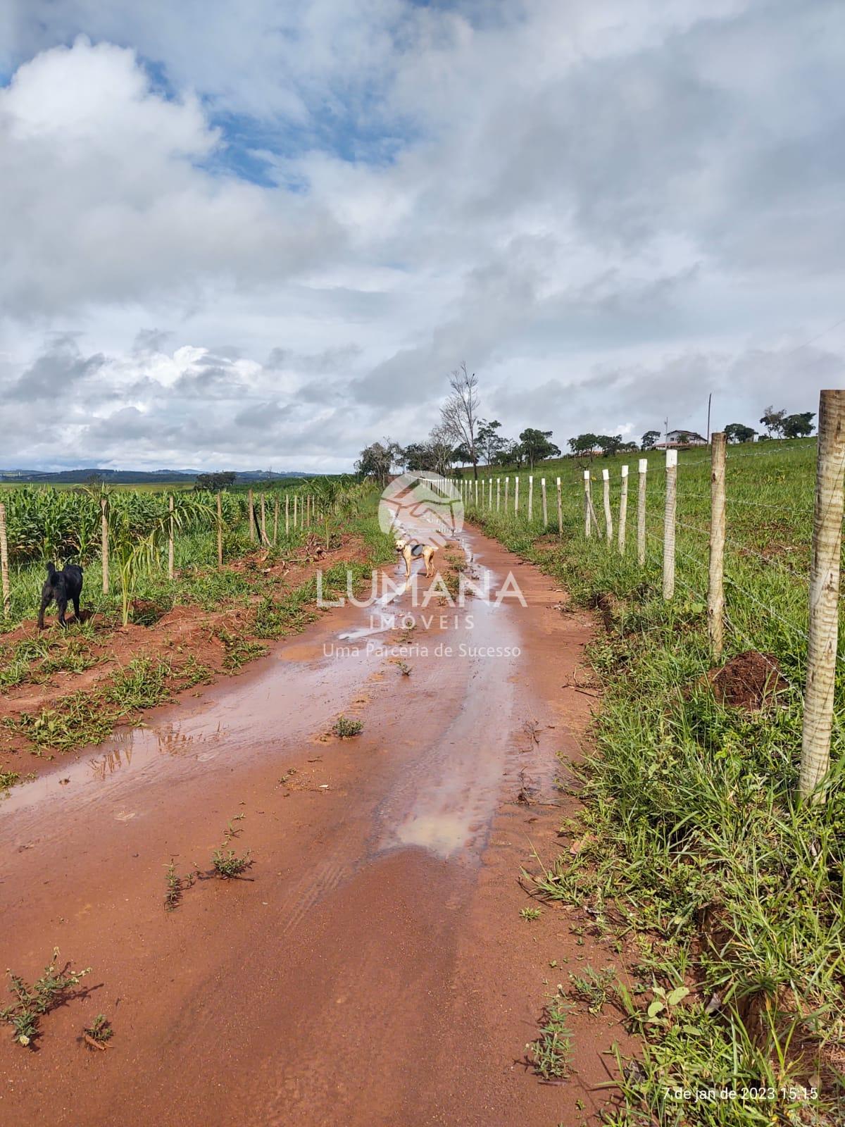 Fazenda Itaguara — foto 46 — Recanto Da  Onça, Itaguara, MG
