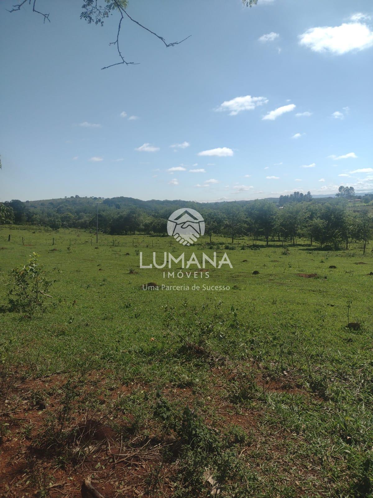Área/ Sessenta e três hectares — foto 12 — Campinho, Lagoa Santa, MG