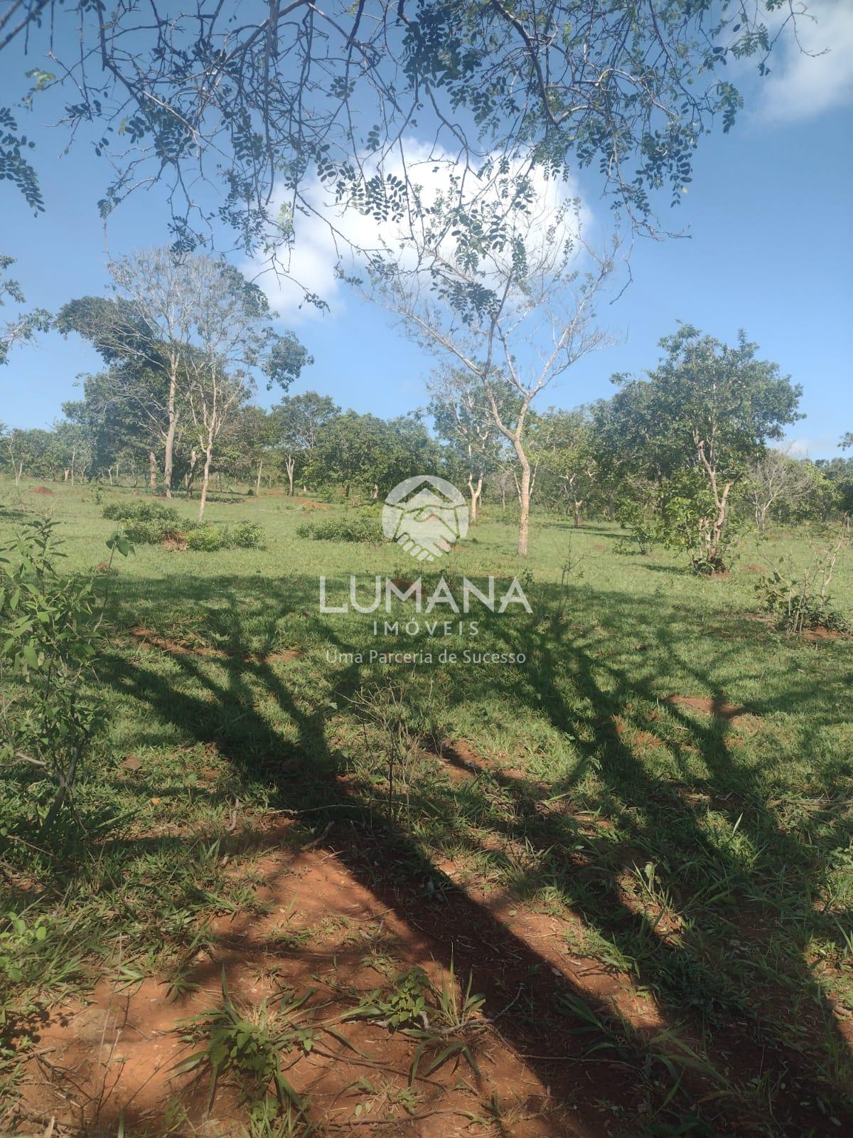 Área/ Sessenta e três hectares — foto 14 — Campinho, Lagoa Santa, MG