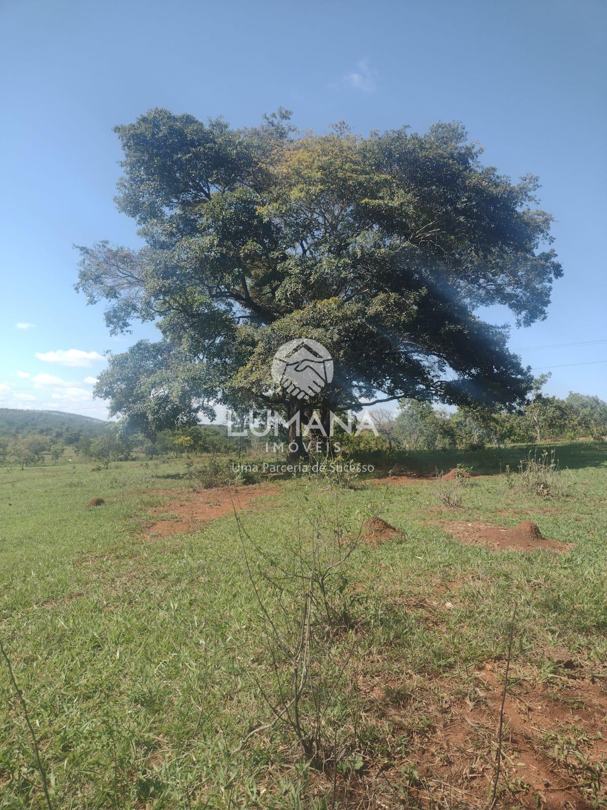Área/ Sessenta e três hectares — foto 15 — Campinho, Lagoa Santa, MG
