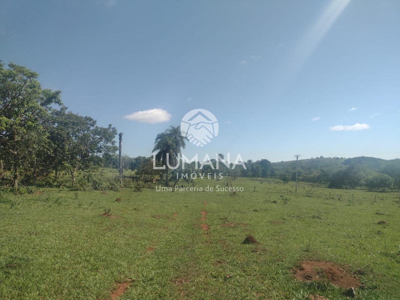 Área/ Sessenta e três hectares — foto 16 — Campinho, Lagoa Santa, MG