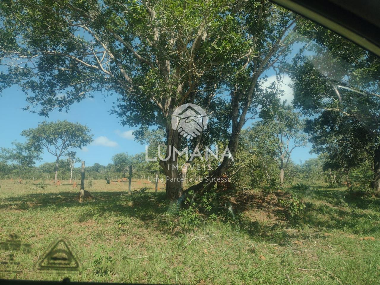 Área/ Sessenta e três hectares — foto 22 — Campinho, Lagoa Santa, MG