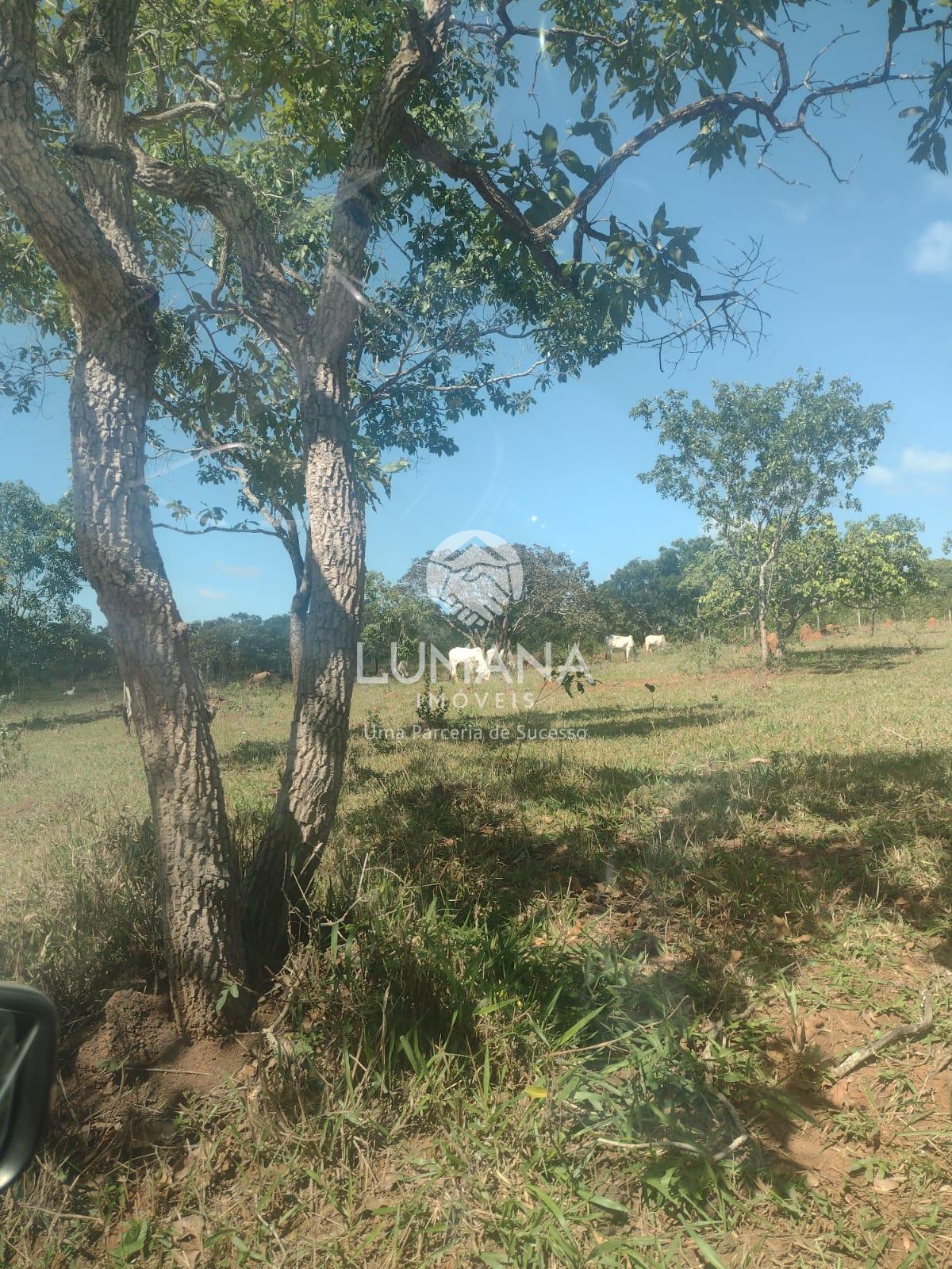 Área/ Sessenta e três hectares — foto 4 — Campinho, Lagoa Santa, MG