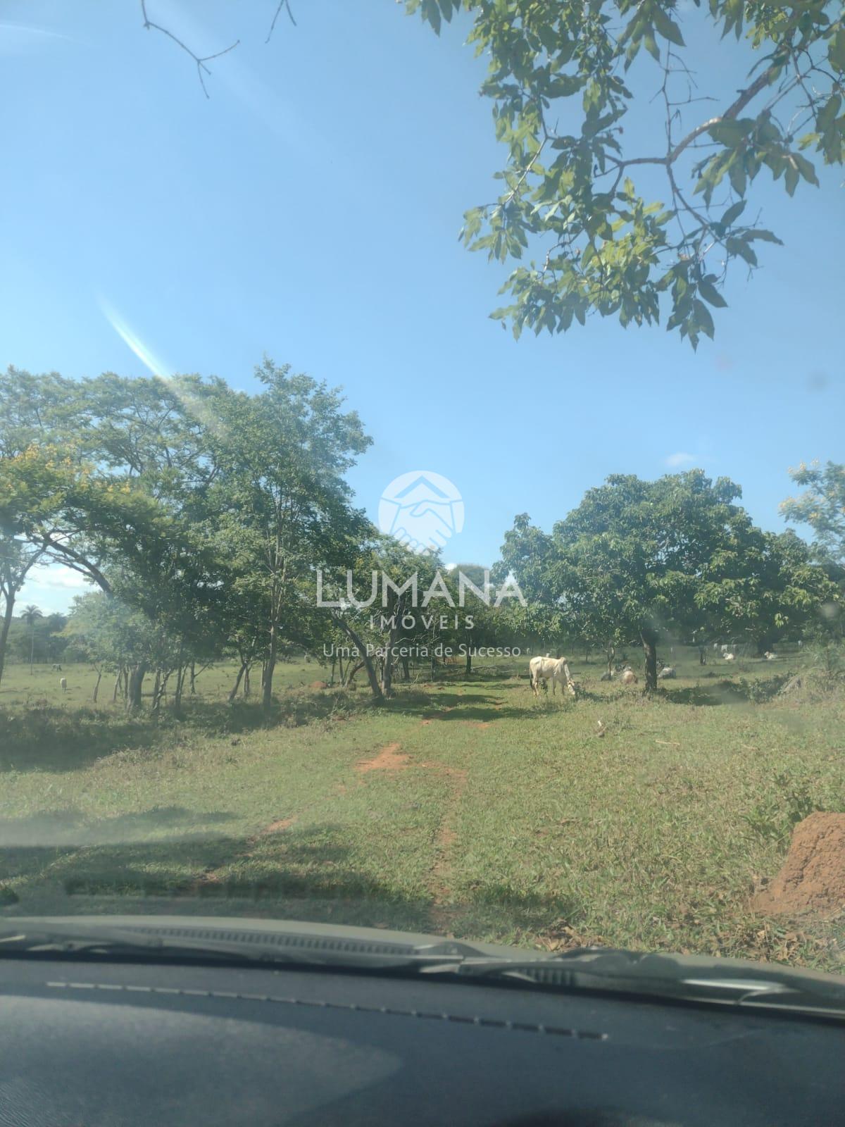 Área/ Sessenta e três hectares — foto 5 — Campinho, Lagoa Santa, MG