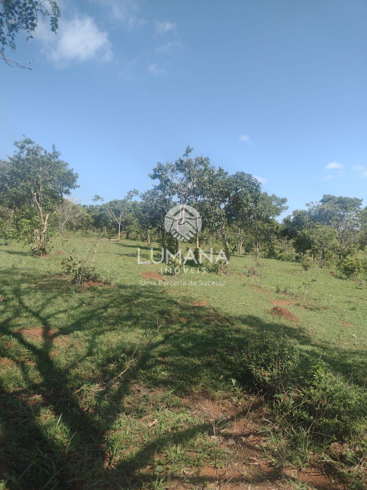 Área/ Sessenta e três hectares — foto 6 — Campinho, Lagoa Santa, MG