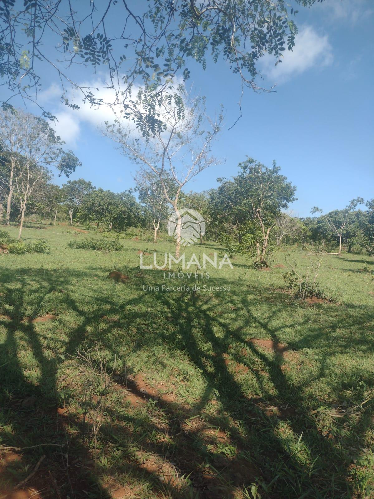 Área/ Sessenta e três hectares — foto 7 — Campinho, Lagoa Santa, MG