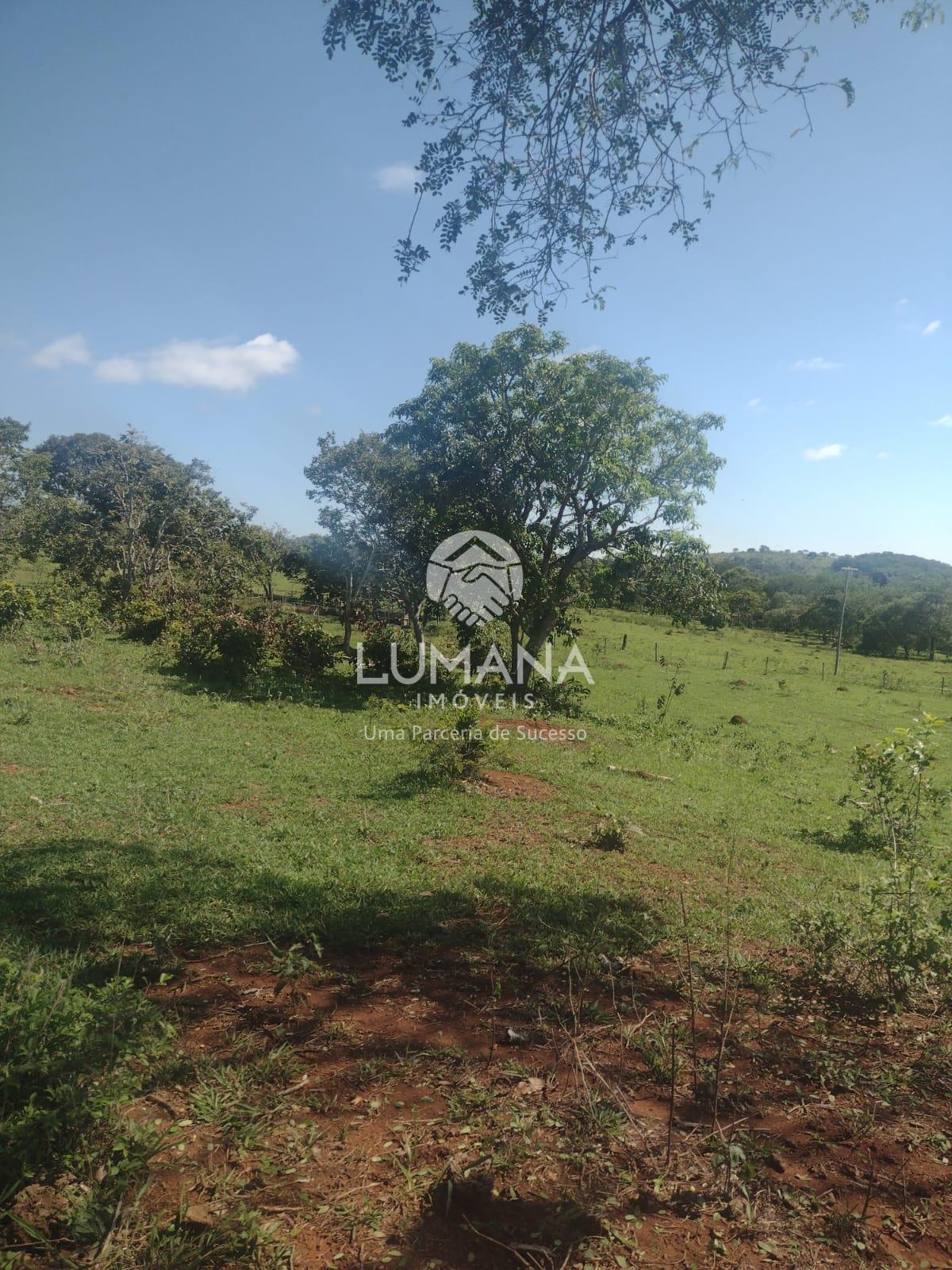 Área/ Sessenta e três hectares — foto 8 — Campinho, Lagoa Santa, MG