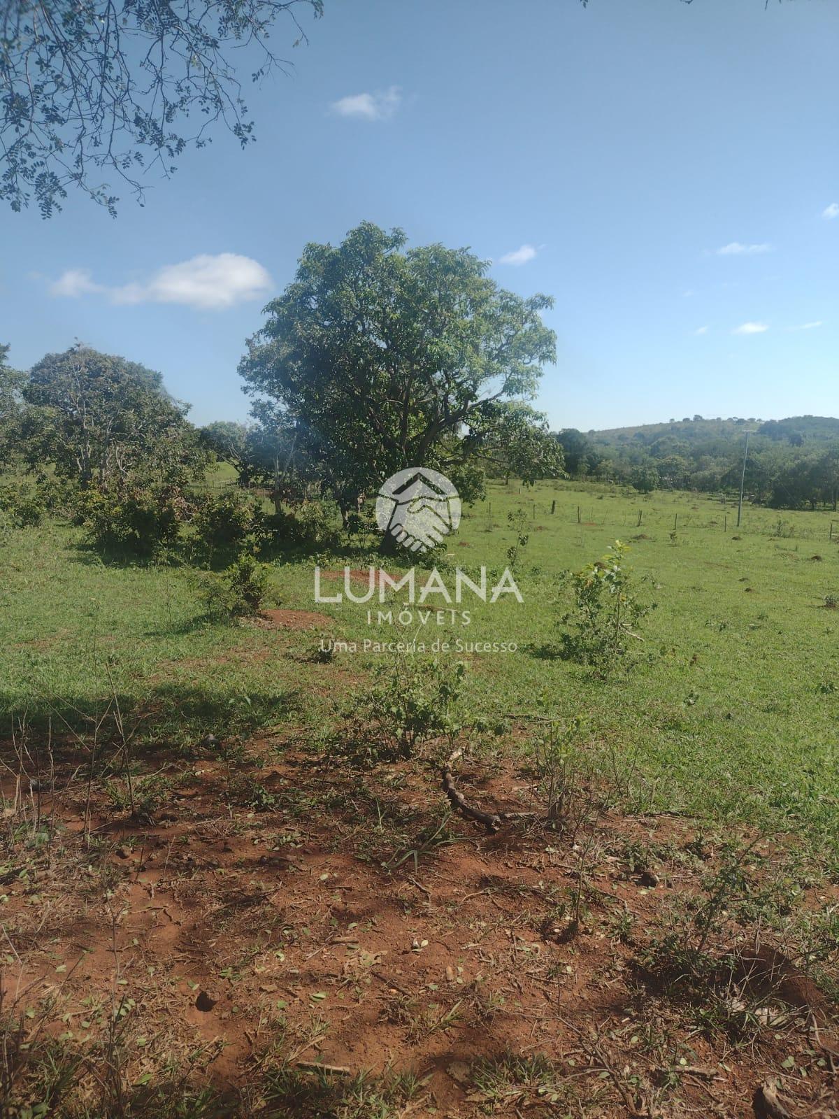 Área/ Sessenta e três hectares — foto 9 — Campinho, Lagoa Santa, MG